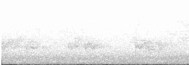Common Yellowthroat - ML589769251