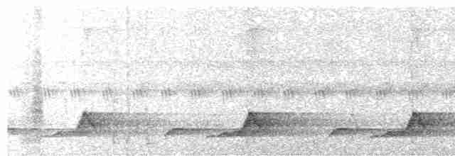 Schwarzkehl-Nachtschwalbe - ML589770721