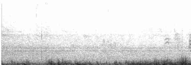 Каролинский поползень (aculeata/alexandrae) - ML589784781