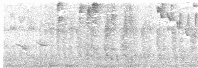 Бронзовый колибри-отшельник - ML58981001