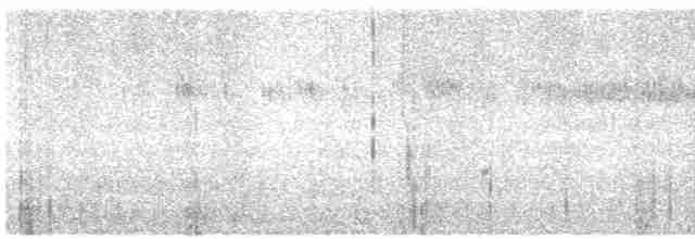 Широкохвостый колибри - ML589817751