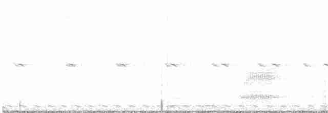 Черношапочная совка - ML589837101