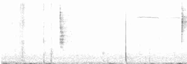 Common Yellowthroat - ML589881321