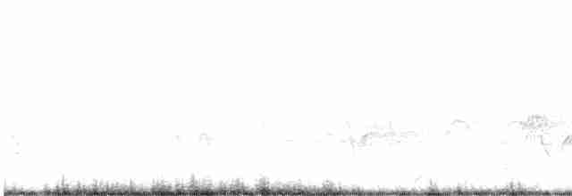 Pileated Woodpecker - ML589895071