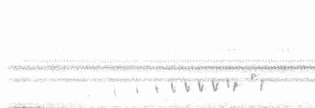 Buff-collared Nightjar - ML589902851