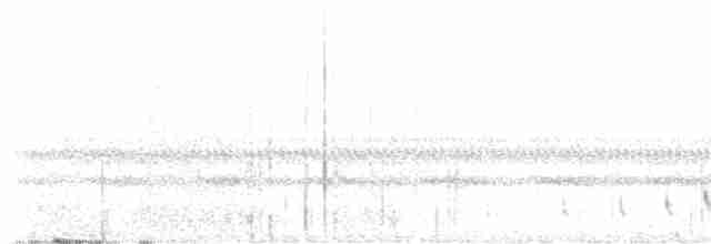 Buff-collared Nightjar - ML589902951
