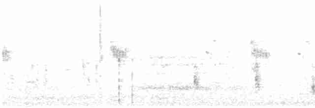 Clamorous Reed Warbler - ML589926241