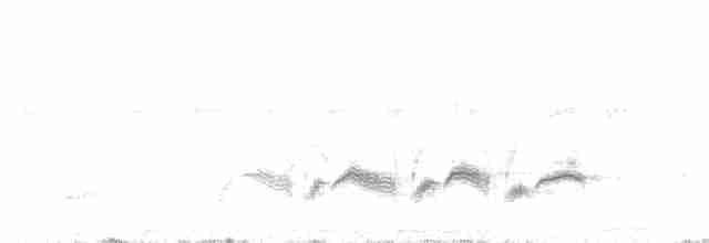 Western Orphean Warbler - ML590000831