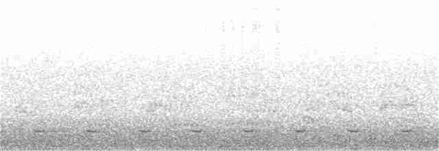 skjellgranugle - ML59001301