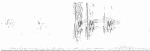 סנונית רפתות - ML590025951