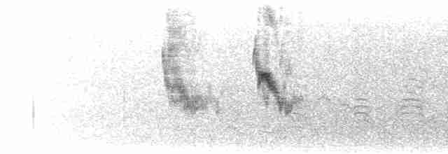 Малый галапагосский вьюрок - ML590026101