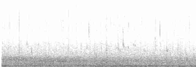 Малая морская чернеть - ML590067731