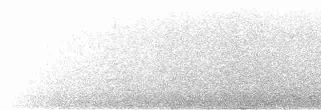 Nazca Booby - ML590081931