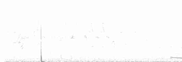 Желтоклювая пиайя - ML590107751