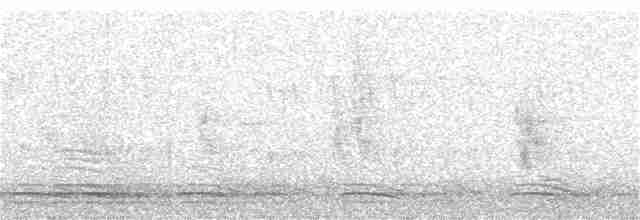 Большой черноголовый дубонос - ML59011641