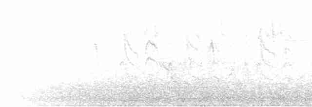 Pine Warbler - ML590118311