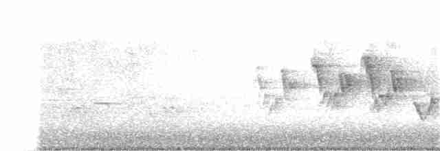 Черногорлая хвойница - ML59012111