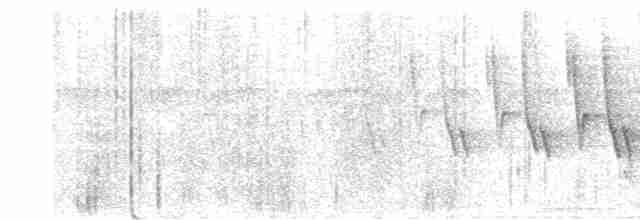 Дроздовый певун - ML590124391