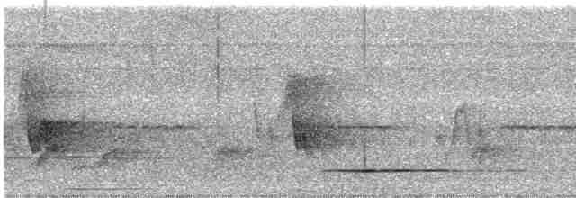 Thicket Tinamou - ML590129431