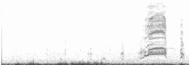 Белохвостая куропатка - ML590130421
