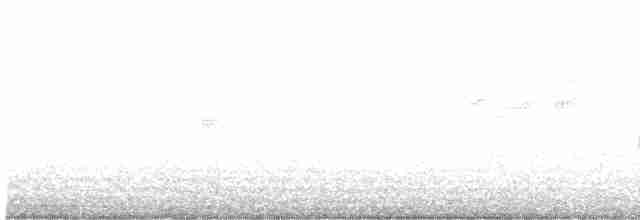 Gray Catbird - ML590130641