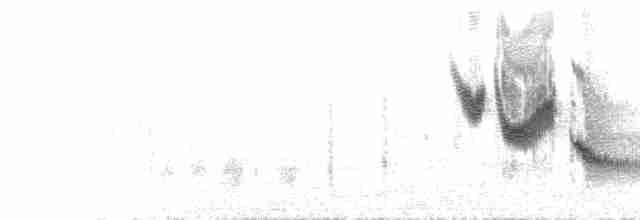Large-billed Reed Warbler - ML590146101
