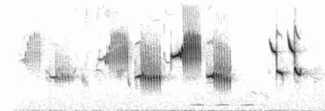 Large-billed Reed Warbler - ML590146131