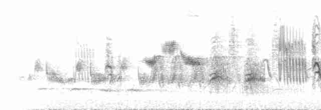 Large-billed Reed Warbler - ML590146261