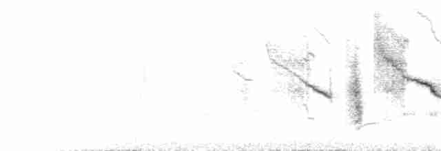 Большеклювая камышевка - ML590146321