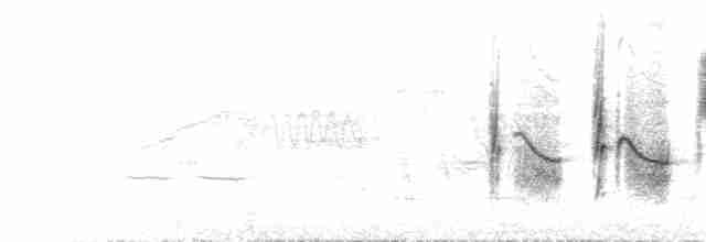 Большеклювая камышевка - ML590146441