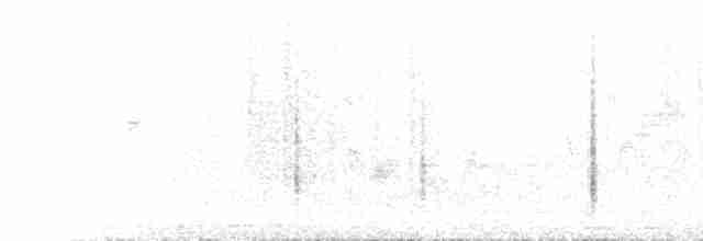 Large-billed Reed Warbler - ML590146461