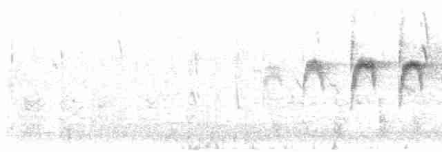 Streifenscheitel-Baumschlüpfer - ML590148661