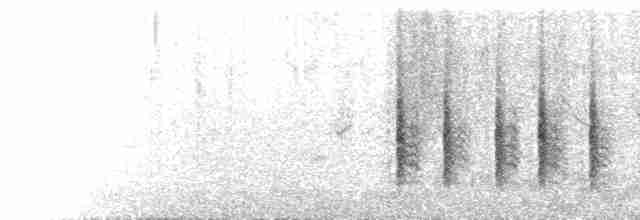 Large-billed Reed Warbler - ML590150461