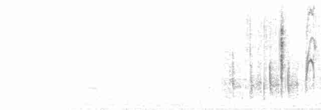 Large-billed Reed Warbler - ML590150841
