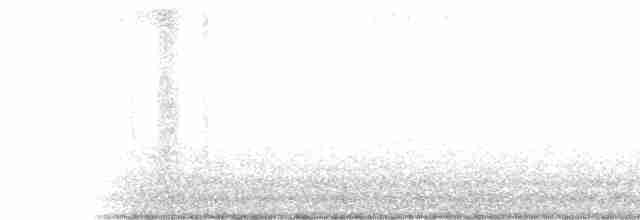 Кузнечиковая овсянка-барсучок - ML590170871