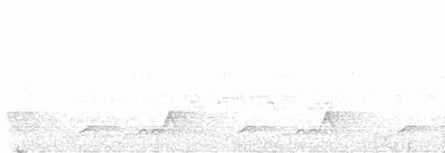 Schwarzkehl-Nachtschwalbe - ML590181231