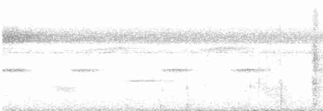 Tinamou de Bonaparte - ML590182271