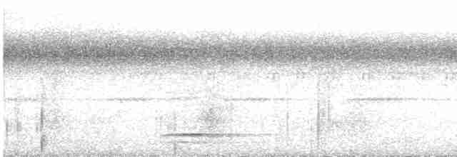 Highland Tinamou - ML590182281