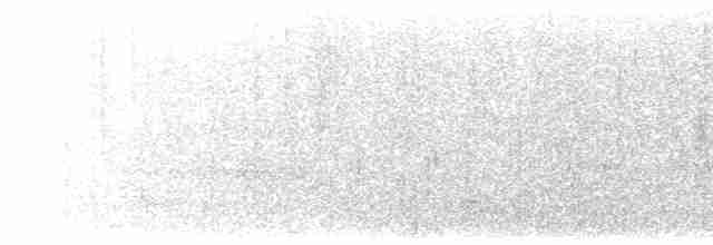 キイロアメリカムシクイ（aureola） - ML590197911