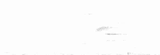 Пересмішник білочеревий - ML590201851