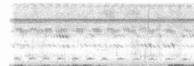 Striated Babbler - ML590202391