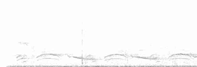 Grauscheitelsäbler - ML590210181