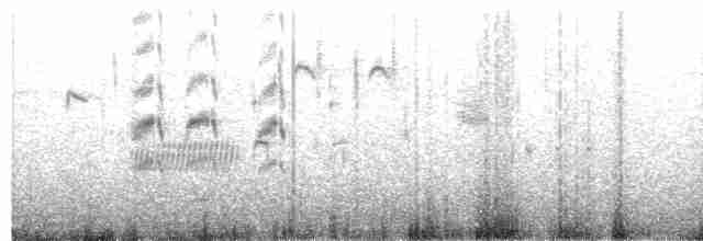 שחפית שחורת-אוזן - ML590214901