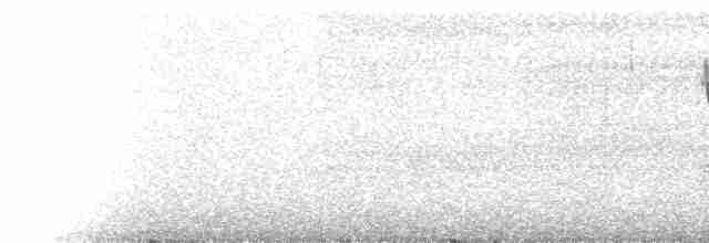 Червоїд світлобровий - ML590217171