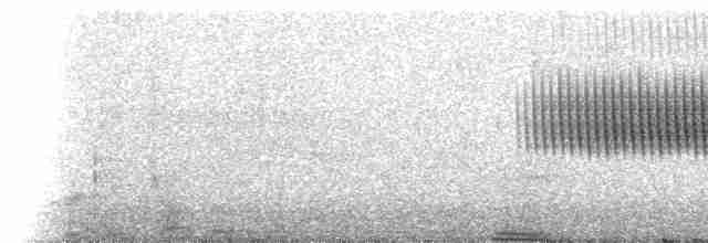 Cırcır Sesli Serçe - ML590217301