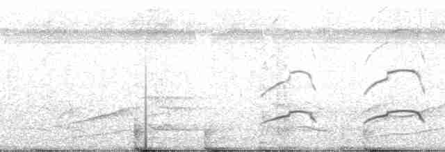Чёрный хохлатый орёл - ML59022