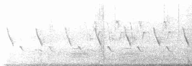 langhaleskredderfugl - ML590227891