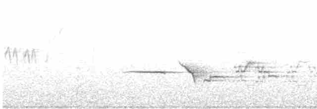 Hermit Thrush - ML590229621