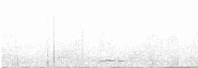 holoubek proužkokrký - ML590233691