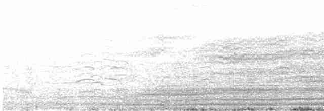 崖海鴉 - ML590241111